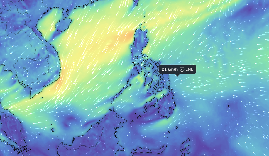 Wind Wave Monitoring